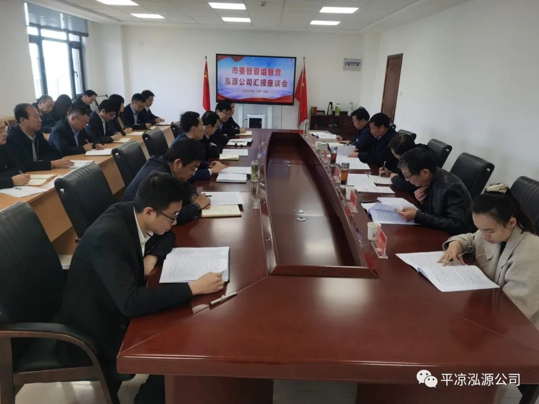 市委辦公室、市政府國資委督查泓源公司工作(圖4)